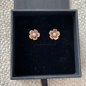 Coach Earrings